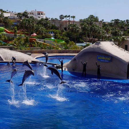 Amazing 3 Bedroom Apartment On The First Line Of The Best Las Americas Beach, Air Conditioner And Terrace Ocean View Playa de las Americas (Tenerife) Exterior foto